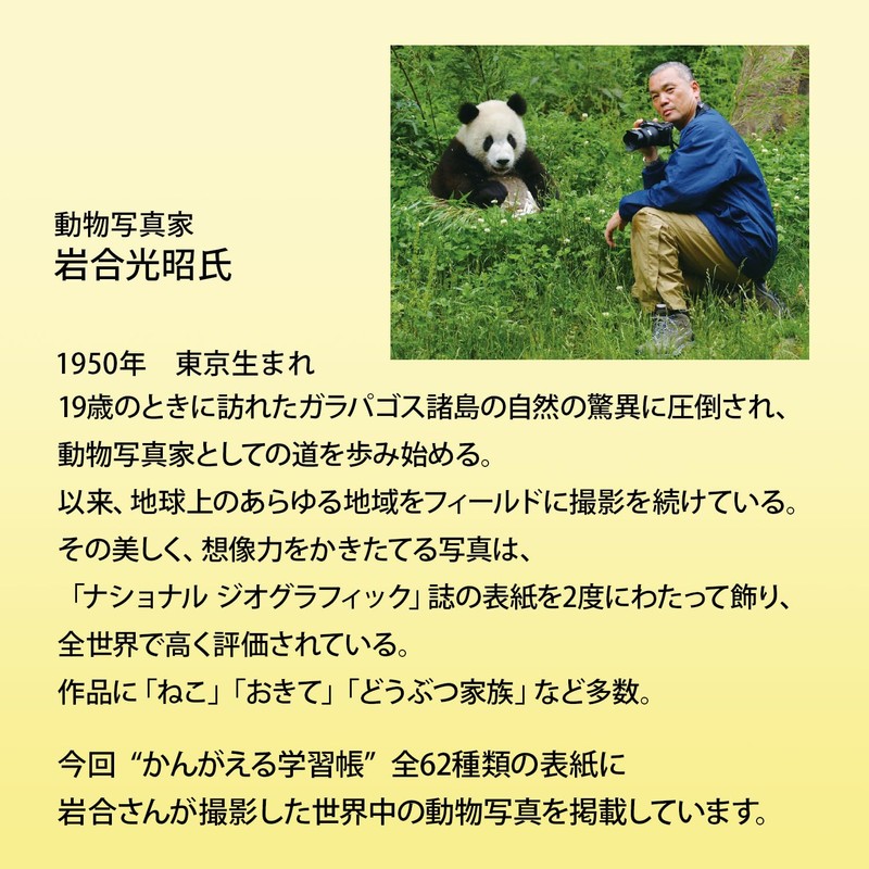 キョクトウ かんがえる学習帳 国語12行 L10R