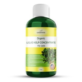 GARDENWISE Organic Premium Kelp Seaweed Concentrate for Jade - Liquid Fertilizer - Liquid Plant Food - Nutrient-Rich Soil Enhancer - Natural Plant Food for Jade Plant (8 OZ), OLKC-16