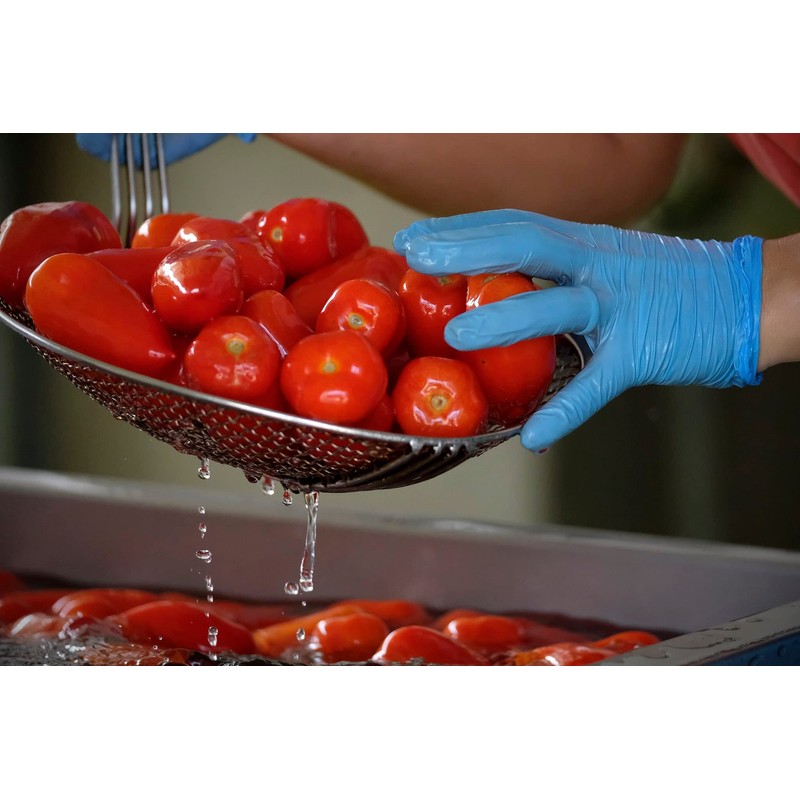 Corbarino Tomatoes - Cherry Tomatoes Maida Farm - Campania, Italy
