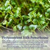 BioPure Broccoli Sprout Supplement – Phytonutrient-Rich Powerhouse Loaded with Bioactive