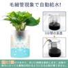 SENUN Slit Pot, Pot Cover, No. 3, Planter, Automatic Watering