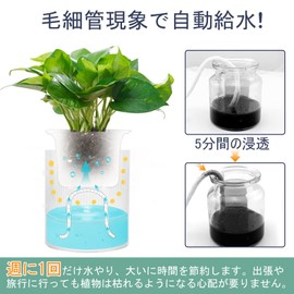 SENUN Slit Pot, Pot Cover, No. 3, Planter, Automatic Watering Tray, Scandinavian Style, Flowerpot, Stylish, Water Absorbent, Hydroponics, Transparent, Plastic, Planter Stand, Clear, Simple, Pot,