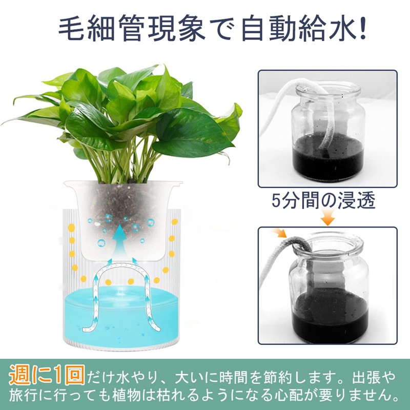 SENUN Slit Pot, Pot Cover, No. 3, Planter, Automatic Watering