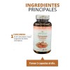 Curcumina Desinflamatoria Analgesico Sist Inmune 90 Cápsulas Sabor Sin sabor