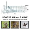 Excluder One Way Squirrel and Rodent Trap - Control Mice,
