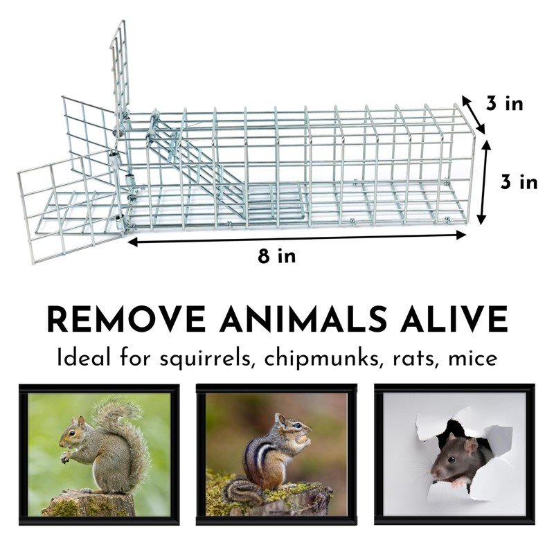 Excluder One Way Squirrel and Rodent Trap - Control Mice,