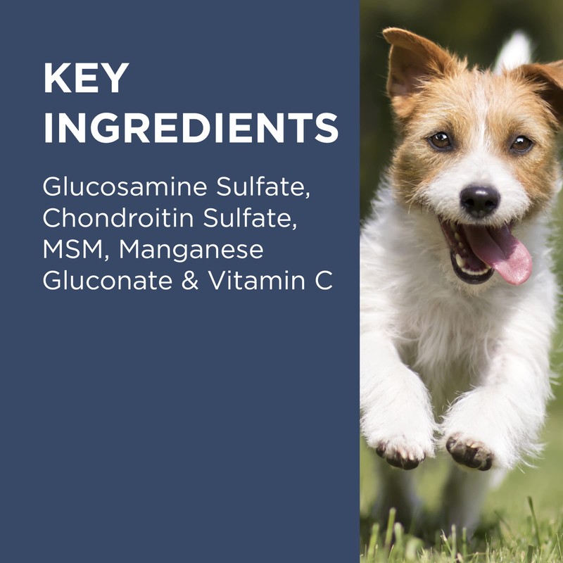 PAW by Blackmores Osteocare® Joint Protect for Dogs | Improves