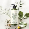 Kim So-hyung Hemile (Secret) (2+1) Herbal Raw Grain Pack Cleanser