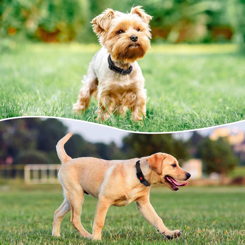 Reflective Nylon Dog Collar with Safety Buckle, Adjustable Pet Collars