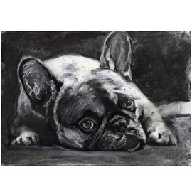 French Bulldog Drawing Print, Bulldog Charcoal Art, French Bulldog Owner Gift, Choice of size by Oscar Jetson (13x19)