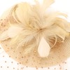 DRESHOW Fascinators Hat Mesh Veil Feathers Hat with a Headband