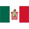 Generic OAXACA MEXICO STATE 3X5 FLAG