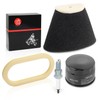 Air Filter foam and Oil Filter + Spark Plug 2001