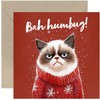 Funny Cat Christmas Cards for Him or Her - Bah