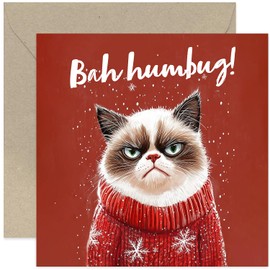 Funny Cat Christmas Cards for Him or Her - Bah Humbug - Cat Christmas Jumper Greeting Card - Illustrated Cartoon Unimpressed Cat Design - For Boss, Colleague, Best Friend, Brother, Sister
