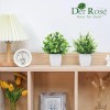 Der Rose 2 Pack Fake Plants Small Faux Artificial Small