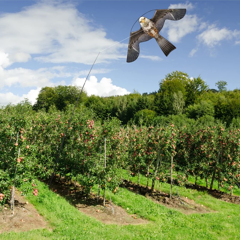 Flerigh Bird Hawk Flying Kite with Pole Crops Farm Protector