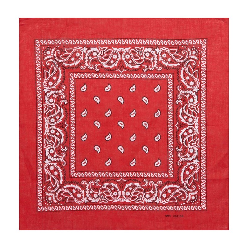 Laciteinterdite Set of 3 Paisley Bandanas for Men and Women,