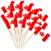 Canada Flag Skewers, Toothpicks with Canada Flag, Canada Cocktail Stick