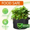 Gardzen 10-Pack 20 Gallon Grow Bags, 300G Thickened Fabric Grow
