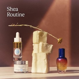 Loccitane Shea Butter Light Comforting Cream