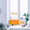 24pcs Window Fly Traps Sticker for Indoors, Transparent Fly Glue
