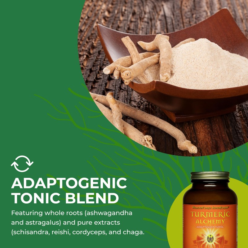 HEALTHFORCE SUPERFOODS Turmeric Alchemy - 180 g Powder