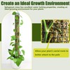 6 Pack Metal Moss Pole, 40"/24"/15" Moss Poles for Plants