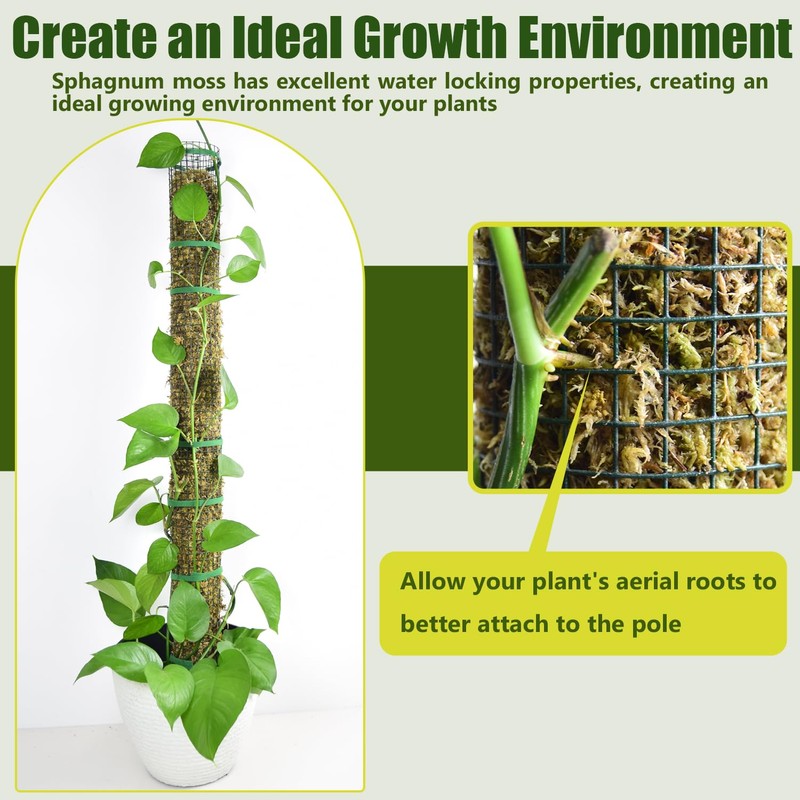 6 Pack Metal Moss Pole, 40"/24"/15" Moss Poles for Plants