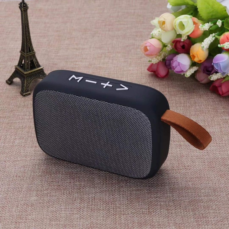 Digiquest Wireless Speaker with MP3 Player, FM Radio, Microphone, Micro