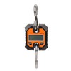 Digital Fishing Scale Multifunction 0.2kg to 100kg Portable Electronic Hook