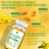 Lukaree 10:1 Mullein Leaf Extract Gummies for Lung Cleanse, Extra