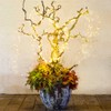Waterfall String Lights Star Decorative Lights Twinkle Fairy Lights with