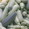 Zucchini Squash Seeds for Planting - Non-GMO Heirloom Packet with