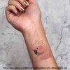 4 x 'Moluccan Cockatoo' Temporary Tattoos - Water Resistant, Skin-Safe,