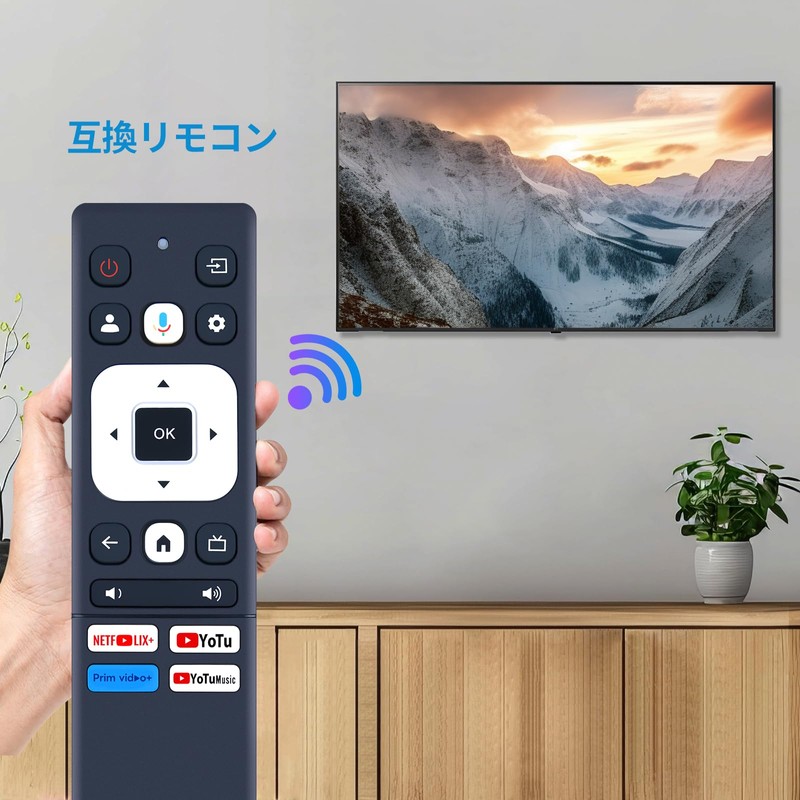 Tunerless TV Remote Control for FPD 32V 40V 43V Google