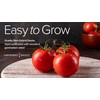 Gardeners Basics Ace 55 VF Tomato Seeds for Planting Heirloom