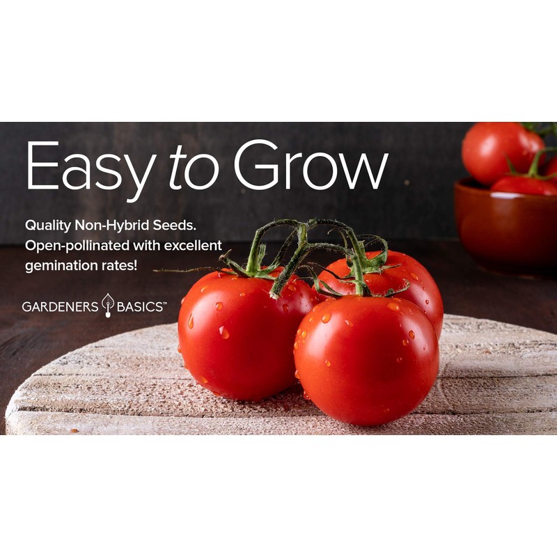Gardeners Basics Ace 55 VF Tomato Seeds for Planting Heirloom
