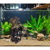 M2cbridge Aquarium Decorations Fish Hideout House Shelter Betta Cave (Style