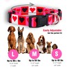 Native Pup Valentine's Day Heart Dog Collar