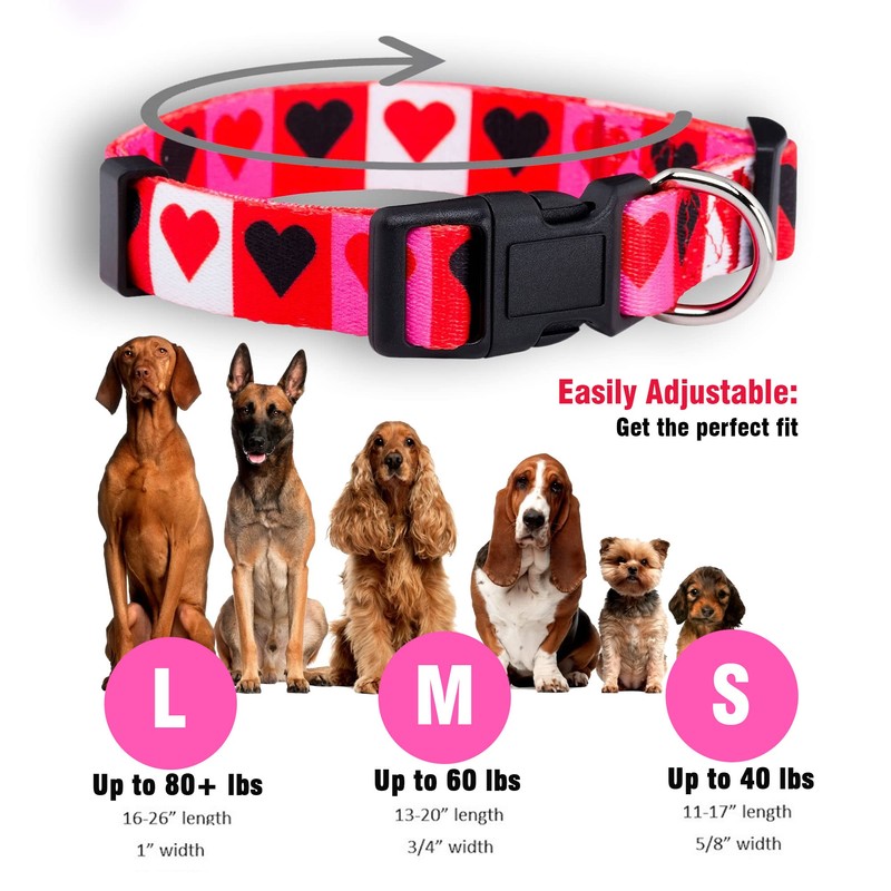 Native Pup Valentine's Day Heart Dog Collar