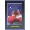 Atari Centipede Arcade Poster 24" x 36"