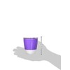 Munchkin Munchkin Splash Toddler Cups with Training Lids, 7 Oz,