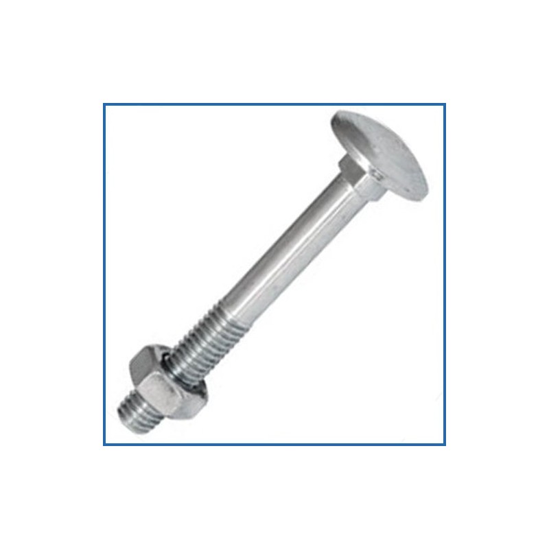 Coach Bolt & Nut M6 x 100 (25 Pack)