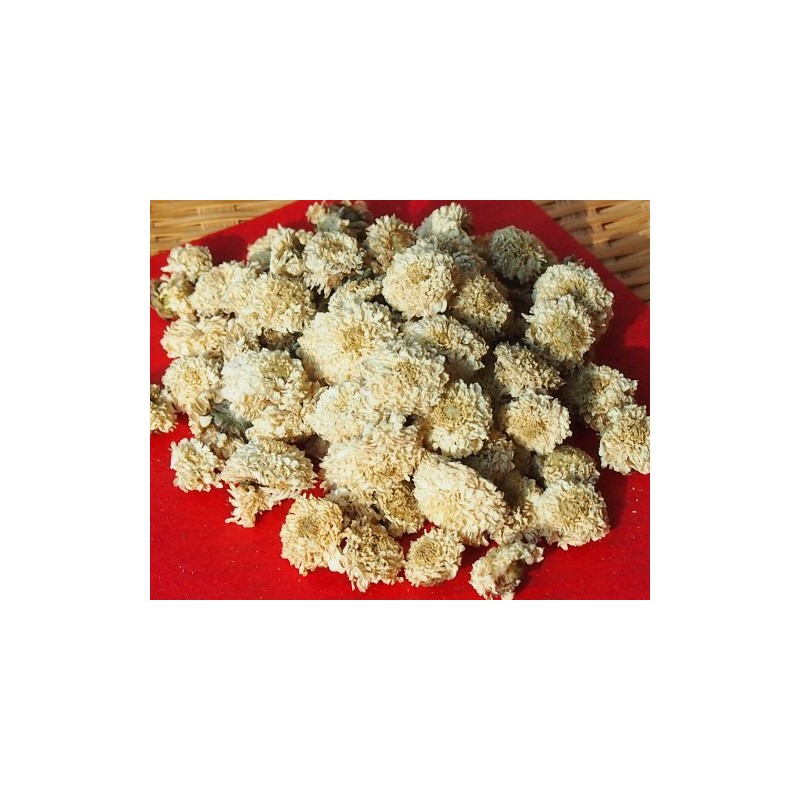 Made in Taiwan, Organically Cultivated, Chrysanthemum, White (White Chrysanthemum), 31