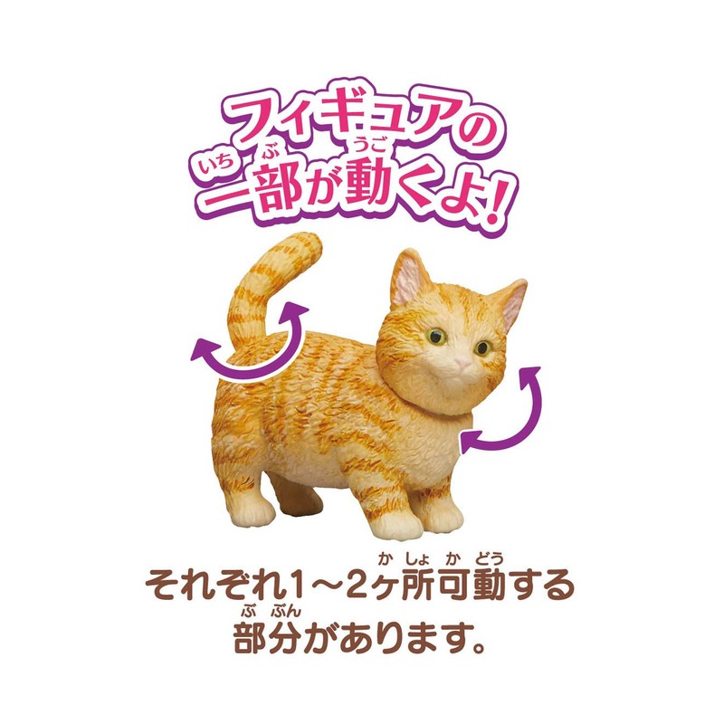 ania ania friends cat