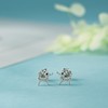 Evensee 925 Silver Women's Butterfly Earrings, Animal Collection Stud Earrings,
