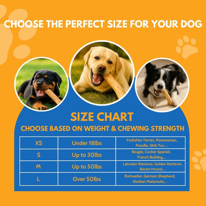 MINOWILD Set 3 of Coffee Wood Dog Chew Toy –