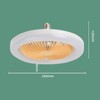 Ceiling Fan Light 30W ABS Housing 9.8in 2 in 1