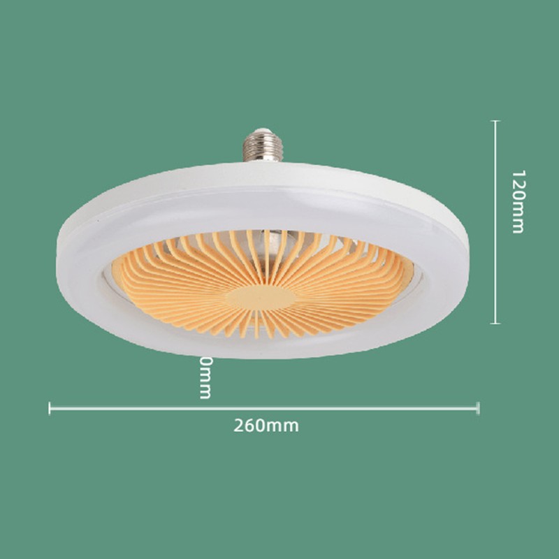 Ceiling Fan Light 30W ABS Housing 9.8in 2 in 1